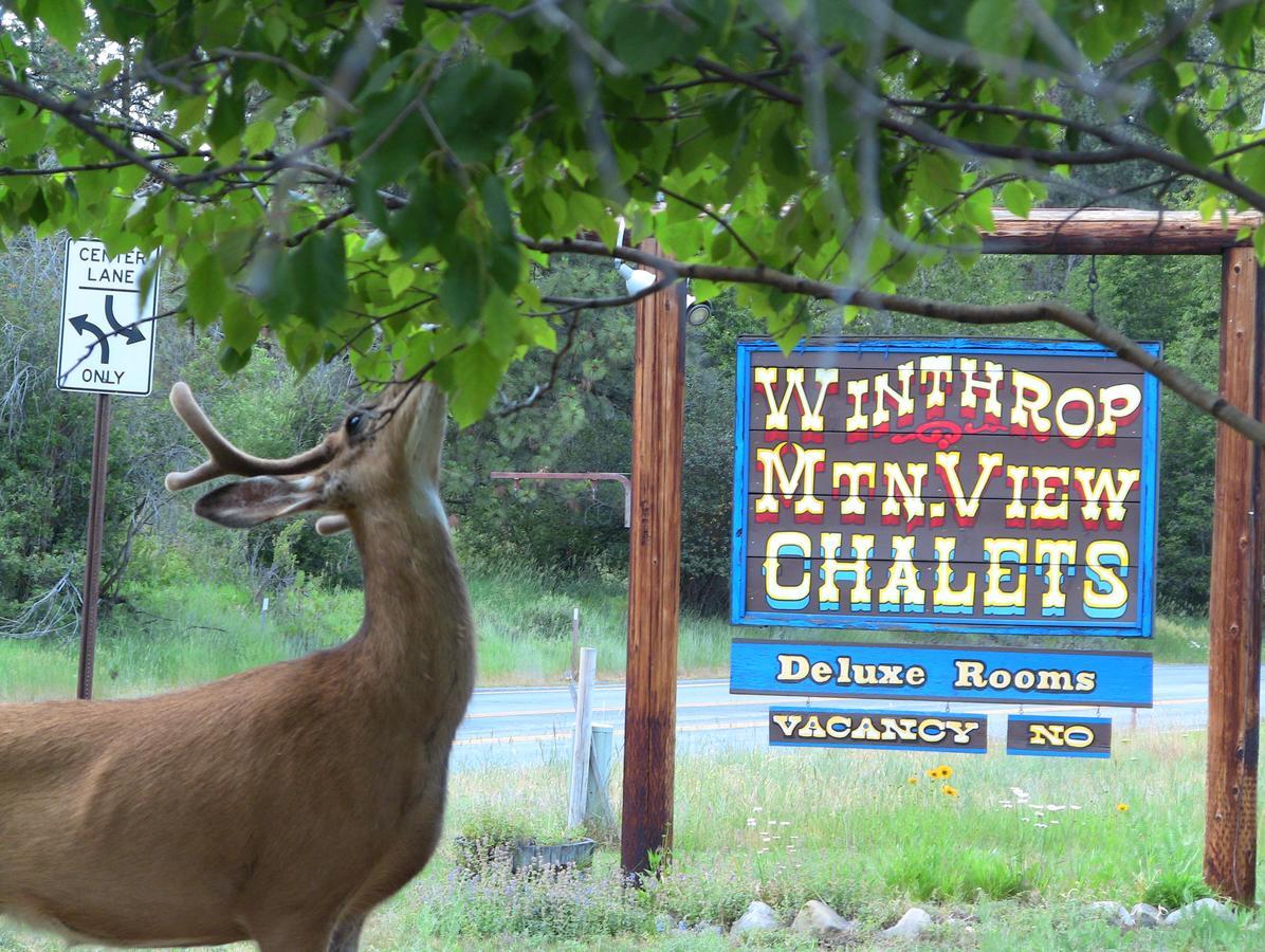 Winthrop Mountain View Chalets 外观 照片